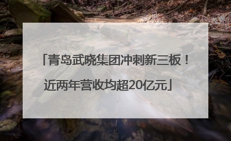 青岛武晓集团冲刺新三板！近两年营收均超20亿元