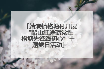 靖港镇格塘村开展“韶山红途砺党性 格塘先锋践初心”主题党日活动