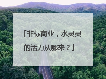 非标商业，水灵灵的活力从哪来？