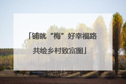 铺就“梅”好幸福路 共绘乡村致富图