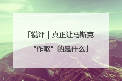 锐评｜真正让马斯克“作呕”的是什么