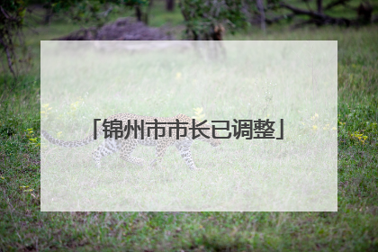 锦州市市长已调整