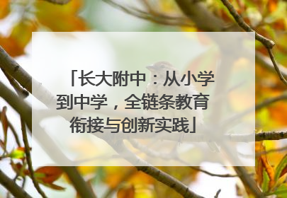 长大附中：从小学到中学，全链条教育衔接与创新实践