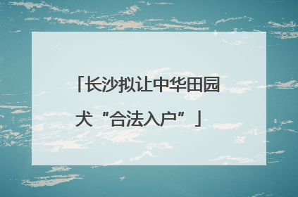 长沙拟让中华田园犬“合法入户”