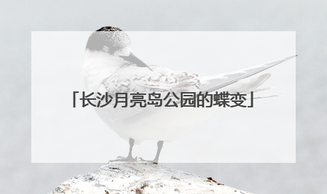 长沙月亮岛公园的蝶变
