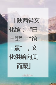陕西省文化馆：“白+黑”“馆+景”，文化供给向美而聚