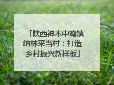 陕西神木中鸡镇纳林采当村：打造乡村振兴新样板