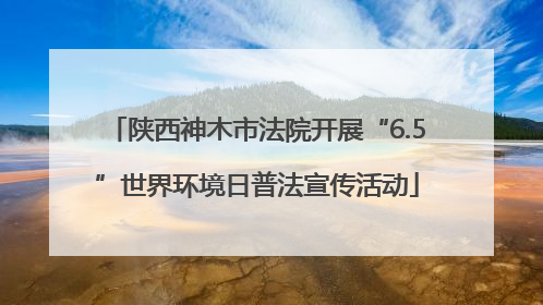陕西神木市法院开展“6.5”世界环境日普法宣传活动