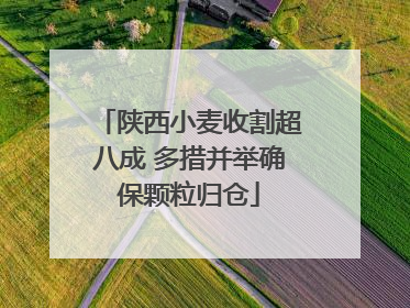陕西小麦收割超八成 多措并举确保颗粒归仓