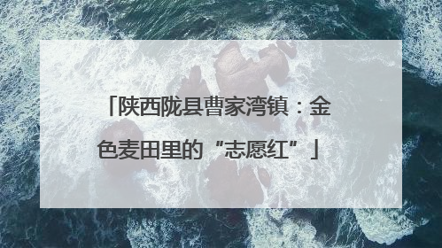 陕西陇县曹家湾镇：金色麦田里的“志愿红”