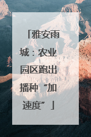 雅安雨城：农业园区跑出播种“加速度”