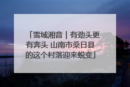 雪域湘音｜有劲头更有奔头 山南市桑日县的这个村落迎来蜕变