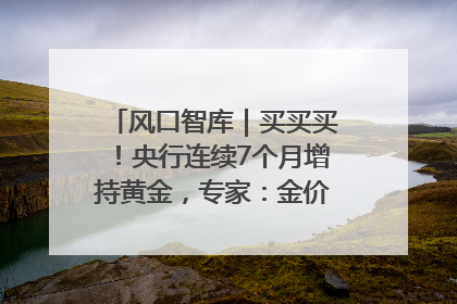 风口智库｜买买买！央行连续7个月增持黄金，专家：金价或仍易涨难跌