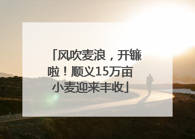 风吹麦浪，开镰啦！顺义15万亩小麦迎来丰收