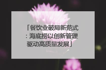 餐饮业破局新范式：海底捞以创新管理驱动高质量发展