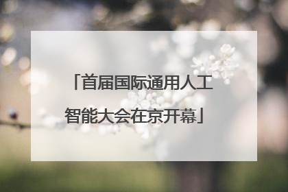 首届国际通用人工智能大会在京开幕
