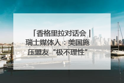 香格里拉对话会｜瑞士媒体人：美国施压盟友“极不理性” 欧洲国家无意与中国“脱钩断链”