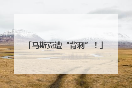 马斯克遭“背刺”！