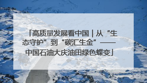 高质量发展看中国｜从“生态守护”到“碳汇生金”——中国石油大庆油田绿色蝶变