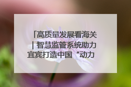高质量发展看海关｜智慧监管系统助力宜宾打造中国“动力电池之都”