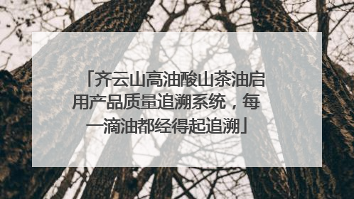 齐云山高油酸山茶油启用产品质量追溯系统，每一滴油都经得起追溯