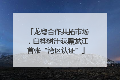 龙粤合作共拓市场，白桦树汁获黑龙江首张“湾区认证”