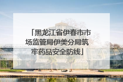 黑龙江省伊春市市场监管局伊美分局筑牢药品安全防线