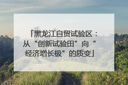 黑龙江自贸试验区：从“创新试验田”向“经济增长极”的质变