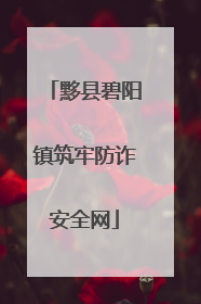 黟县碧阳镇筑牢防诈安全网