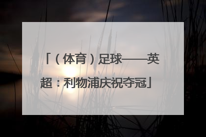 （体育）足球——英超：利物浦庆祝夺冠