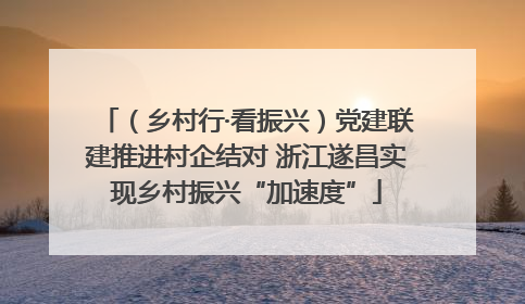 （乡村行·看振兴）党建联建推进村企结对 浙江遂昌实现乡村振兴“加速度”