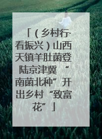 （乡村行·看振兴）山西天镇羊肚菌登陆京津冀 “南菌北种”开出乡村“致富花”