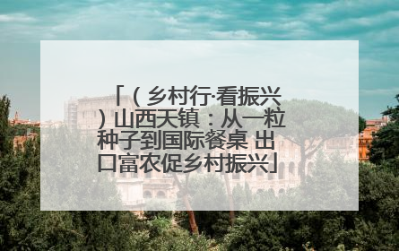 （乡村行·看振兴）山西天镇：从一粒种子到国际餐桌 出口富农促乡村振兴