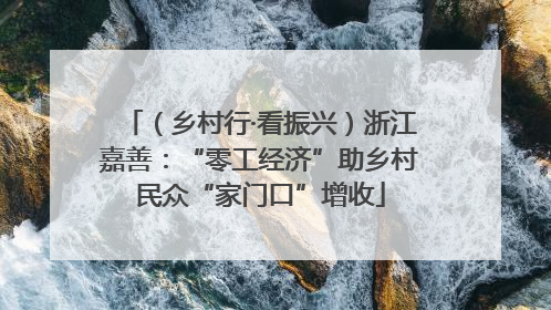 （乡村行·看振兴）浙江嘉善：“零工经济”助乡村民众“家门口”增收