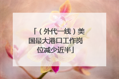 （外代一线）美国最大港口工作岗位减少近半
