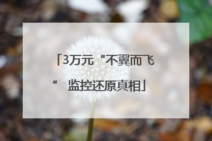 3万元“不翼而飞” 监控还原真相