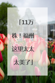 11万株！福州这里太太太美了