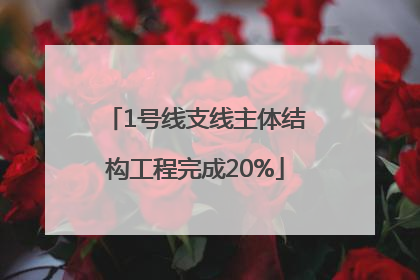 1号线支线主体结构工程完成20%