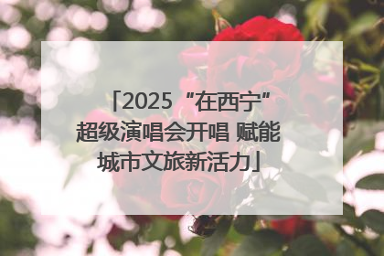 2025“在西宁”超级演唱会开唱 赋能城市文旅新活力