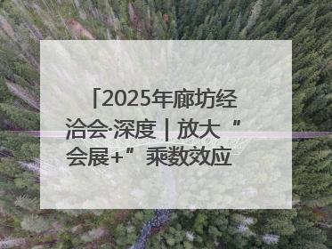2025年廊坊经洽会·深度｜放大“会展+”乘数效应 打造消费新场景