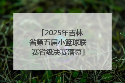 2025年吉林省第五届小篮球联赛省级决赛落幕