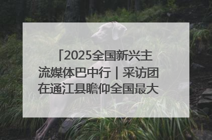 2025全国新兴主流媒体巴中行｜采访团在通江县瞻仰全国最大红军烈士陵园