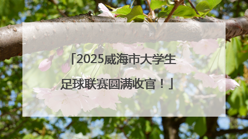 2025威海市大学生足球联赛圆满收官！