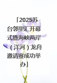 2025苏台邻里汇开幕式暨海峡两岸（洋河）龙舟邀请赛成功举办