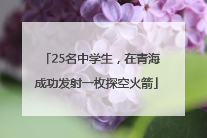 25名中学生，在青海成功发射一枚探空火箭