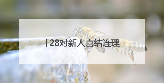 28对新人喜结连理 青岛2025年新时代集体婚礼举行