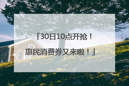 30日10点开抢！惠民消费券又来啦！