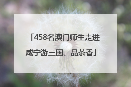 458名澳门师生走进咸宁游三国、品茶香