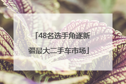48名选手角逐新疆最大二手车市场