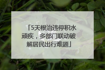 5天根治违停积水顽疾，多部门联动破解居民出行难题